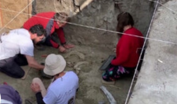 Откриха останки от слон на 12 000 години